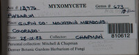 Image Associated With the Occurence